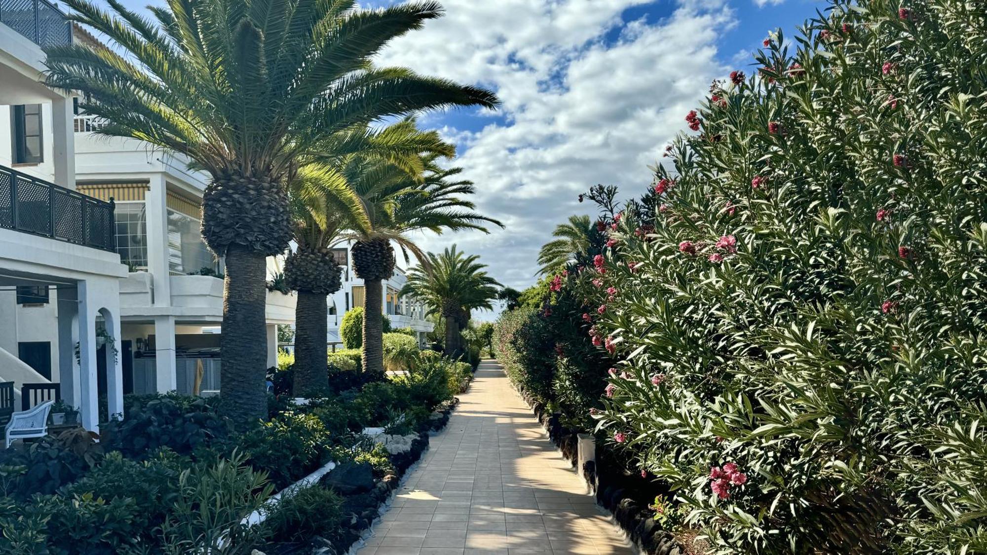 Serena Vista Golf 791 - Appartamento Confortevole A Amarilla Golf San Miguel de Abona Dış mekan fotoğraf